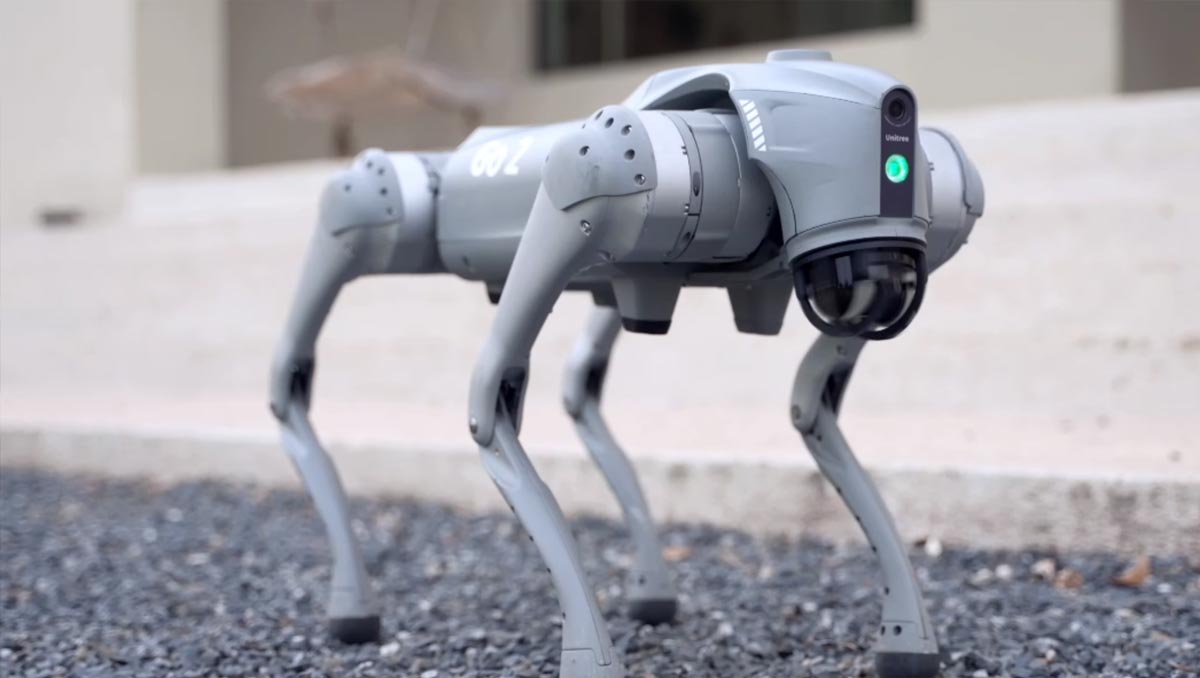 Roboterhunde